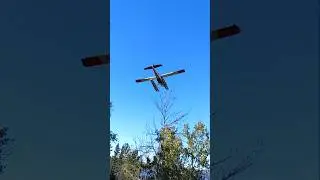 Another Tree-Top Landing #northernminnesota #floatplane #usfs #dehavilland #beaver #bushpilot #fall