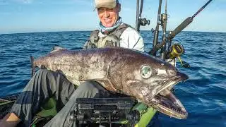 Crazy fish caught 1 mile off the beach