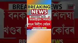 কলিয়াবৰৰ চামধৰা গাঁৱত বন্যহস্তীৰ আক্ৰমণত নিহত বনকৰ্মী | Kaliabor | Assamese News 29/01/26