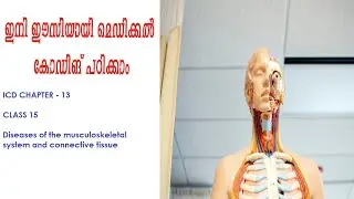 Medical Coding  ICD 10 Chapter 13 Guidelines  Diseases of Musculoskeletal System & Connective tissue