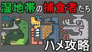 【MHP2G】　ゆっくり解説　湿地帯の捕食者たち（ババコンガ亜種・ゲリョス亜種・フルフル）　ハメ攻略　１８：５３　沼地＜昼＞