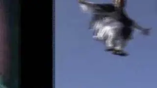 Chinese Kungfu from Wudang - Master Chen Shixing