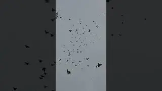 9 января Витя Холодная Балка