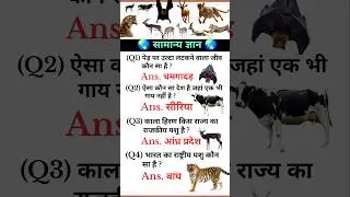GK Question In Hindi || General Knowledge quiz GK insights #motivational #success #upsc  #staticgk