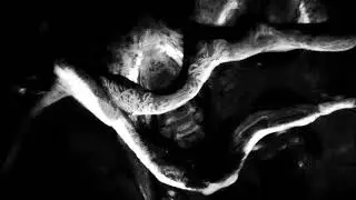 HWWAUOCH - Emanations Of Forgotten Futures (Prava Kollektiv/Amor Fati Prods/Fallen Empire, 2018)