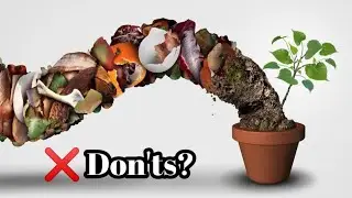 25 Things you should never add in your Compost🚫🙅&zwj;♂️