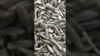 Kolkata wholesale jeera market 8777593890 #kolkata #wholesalemarket