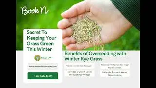 Benefits of Overseeding with Winter Rye Grass