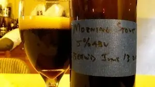Morning Stout HOME BREW / BrewHead.Org Brewing (CFWolnia) DJs BrewTube Beer Review #412