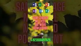 SAM Cengage and MS Excel Projects | Sam Cengage| MS Excel