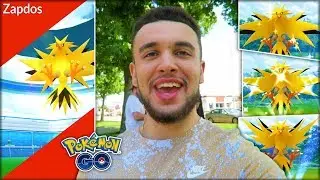 CATCHING THE BEST SHINY LEGENDARY POK&Eacute;MON! (Pok&eacute;mon GO Zapdos Day)
