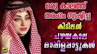 Mappila Songs | പഴയ മാപ്പിളപ്പാട്ടുകൾ | Old Is Gold Mappilappattukal | Old Songs | Mappila Pattukal