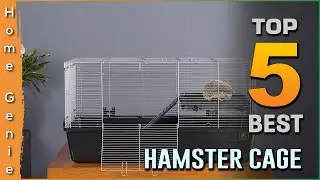 Top 5 Best Hamster Cages Review in 2023