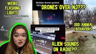 Drones Over NJ, Alien Sounds On Radio, Strange Flashing lights, Odd Animal Behaviors | Weird Things