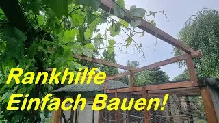 Rankhilfe f&uuml;r Weintrauben selber bauen ganz einfach!