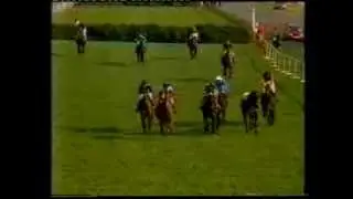 1984 Haig Foxhunters' Chase