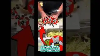bee swarm simulator meme 98 #beeswarmsimulator #bss #bee #roblox #roblox #gaming