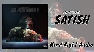 Tee Grizzley - Satish (Lyrics)