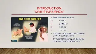SWINE FLU / HINI FLU/ HOG FLU/ PIG FLU AND ITS MANAGEMENT......