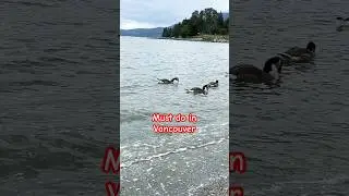 A series of #mustdo in #vancouver #canada #travel  #swim #polarbear #lifestyle #tourist #vacay #ofw