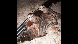 охота на вальдшнепа в холодную погоду  Часть3