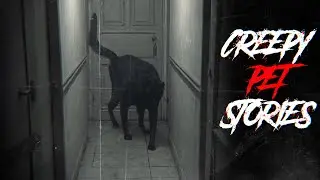 2 True Scary Pet Stories That Will Make You Question Everything 🐱