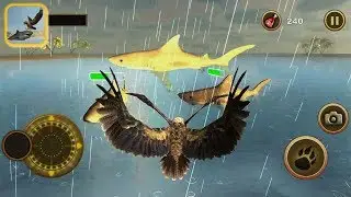 Sea Eagle Survival Simulator: The Last Adventure Defeat 2 Big Sharks - Android Gameplay