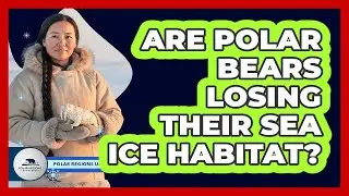 Are Polar Bears Losing Their Sea Ice Habitat?