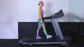 Treadmill walking with neural network pose estimation | OpenPose | Walking Biomechanics