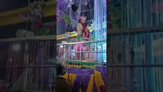 Best Jaimala Program