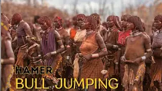 Bull-Jumping Ceremony Omo Valley Ethiopia