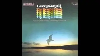 Larry Coryell - Ann Arbour