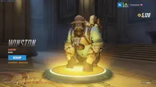 Overwatch Golden Loot Box (Twitch Prime June Promotion)