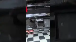 Is It The WHITE? Or The BLACK One?