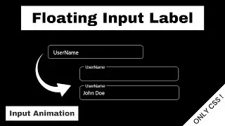 Create a Floating Input Label using HTML and CSS | CSS Tutorial