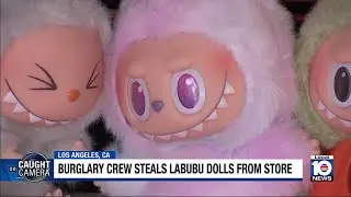 Labubu dolls keep on motivating burglars