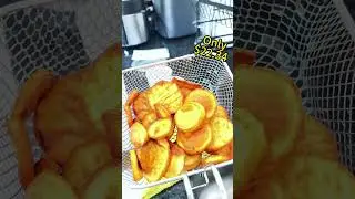 1500W Electric Deep Fryer with Temp Control & Removable Lid