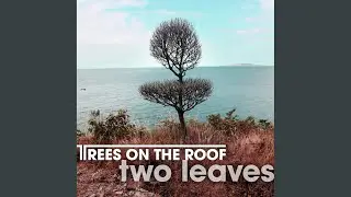 Two Leaves