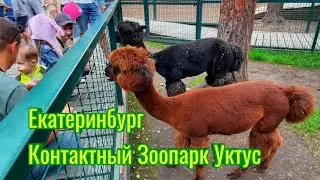 Екатеринбург/Контактный зоопарк/Уктус #Екатеринбург#уктус#зоопарк.