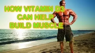 How Vitamin D3 Can Help Build Muscles
