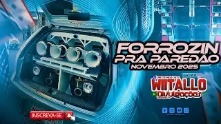 FORROZINHO PRA PARED&Atilde;O - DJ ASTRONAUTA NOVEMBRO 2025 REPERT&Oacute;RIO NOVO 