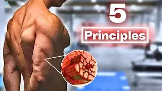How To Reduce Injury Risk While Building Muscle!