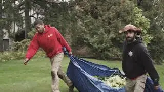 Fall Cleanup Services