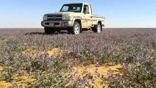 حياة البدو ١ للشاعر جهز الفلاح