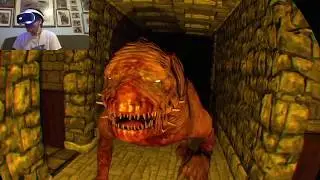 THE SCARIEST GAME EVER!!! PSVR Dreadhalls