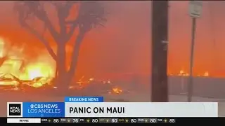 Catastrophic wildfires in Maui kill at least 6 people