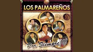 Vivo Detrás Del Vino