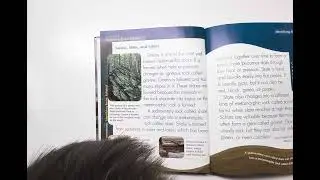 Story time : Metamorphic Rocks and Rock Cycle !!!!#kids #story #books. 