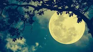 LoCraft   New Creation Lofi Minecraft Music