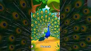 Birds #shorts #birds #cartoon #nursery #ai #kindergarten  #learning #happy #interesting #trending
